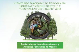 Concurso de Fotografía Visión Forestal y Centinelas del Tiempo