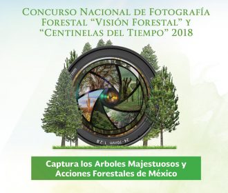 Concurso de Fotografía Visión Forestal y Centinelas del Tiempo