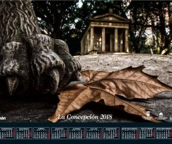 Concurso fotográfico de la Asociación de Amigos del Jardín Botánico-Histórico La Concepción