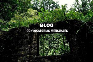 Concursos de Fotografía México BLOG