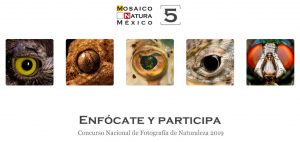 5o. Concurso Nacional de Fotografía de Naturaleza - Concursos de Fotografía  México