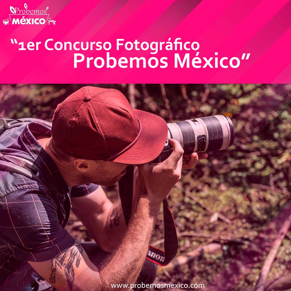 1er Concurso Fotográfico Probemos México
