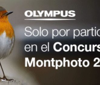Concurso Internacional de Fotografía de Naturaleza MontPhoto 2019
