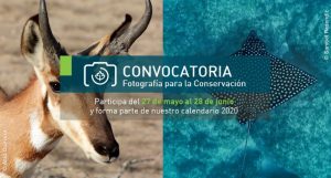Convocatoria Fotografía para la Conservación