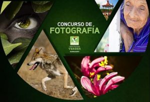 Concurso de Fotografía “Ser Verde es Mejor”