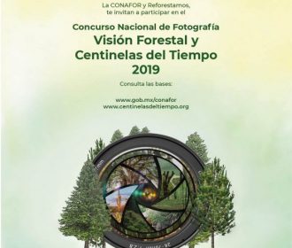 Concurso Visión Forestal y Centinelas del Tiempo 2019