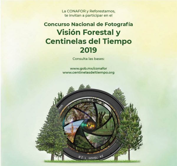 Concurso Fotográfico Visión Forestal y Centinelas del Tiempo 2019