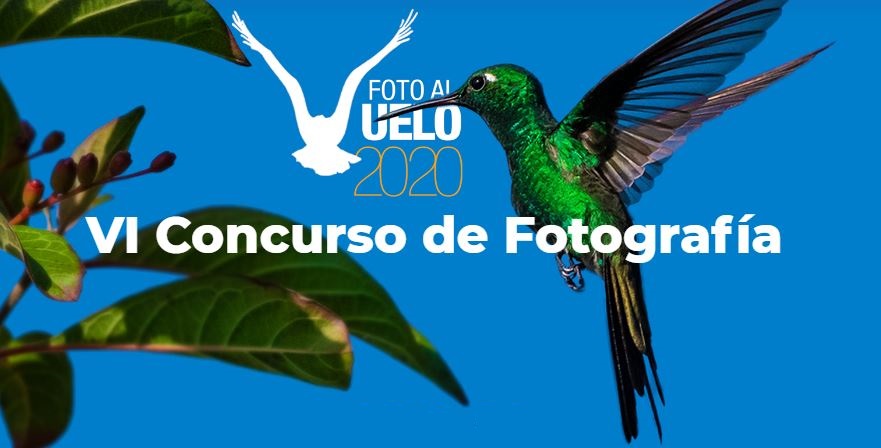 VI Concurso de Fotografía en la Ciénaga de Zapata