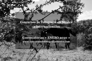 Concursos de Fotografía en México e Internacionales