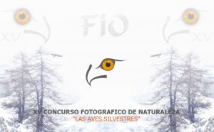 XV CONCURSO FOTOGRAFICO DE NATURALEZA "LAS AVES SILVESTRES"