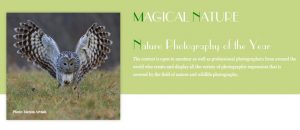 Concurso Internacional de Fotografía de Naturaleza "Naturaleza Mágica"