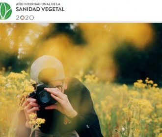 Concurso de Fotografía sobre Plagas y Plantas Sanas