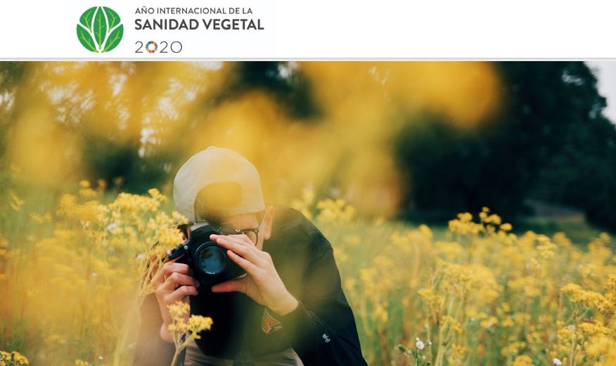 Concurso de Fotografía sobre Plagas y Plantas Sanas