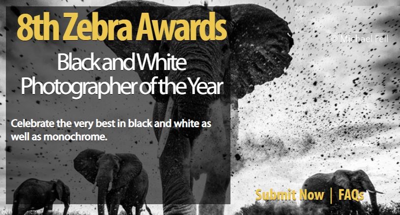 The 8th Zebra Awards abren su convocatoria de fotografía 2020