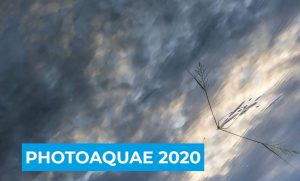 Concurso Premio PhotoAquae 2020