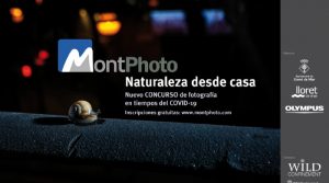 Concurso Internacional de Fotografía de Naturaleza desde Casa - MontPhoto 2020