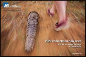 Concurso Internacional de Fotografía de Naturaleza MontPhoto 2020