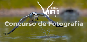 VII Concurso de Fotografía en la Ciénaga de Zapata