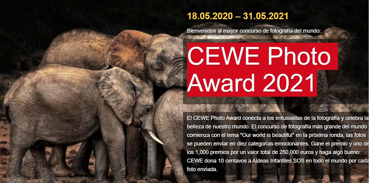 CEWE Photo Award 2021