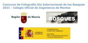 Concurso de fotografía Día Internacional de los Bosques 2021