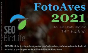 FotoAves 2021 - The Bird Photo Contest 14th Edition