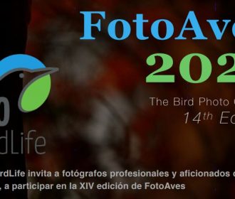 FotoAves 2021 – The Bird Photo Contest 14th Edition.