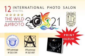 12 International Photo Salon Digital