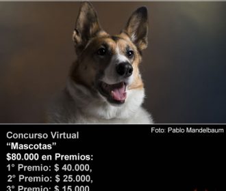 48° Concurso Mensual FotoRevista «Mascotas»