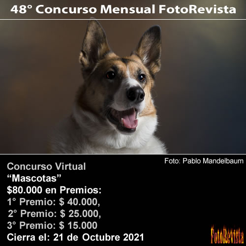 48° Concurso Mensual FotoRevista Mascotas