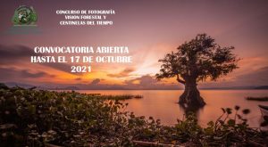 Concurso Foto Forestal Centinelas del Tiempo 2021