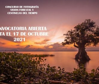 Concurso de Fotografía Visión Forestal y Centinelas del Tiempo 2021
