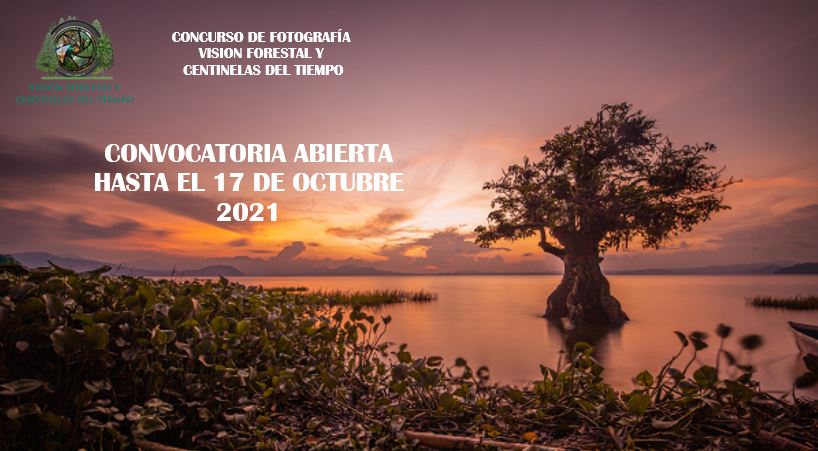 Concurso Foto Forestal Centinelas del Tiempo 2021