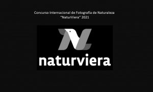 Concurso Internacional de Fotografía de Naturaleza “NaturViera” 2021