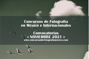 Concursos de Fotografía Noviembre 2021