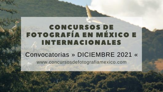 Concursos de Fotografía Diciembre 2021