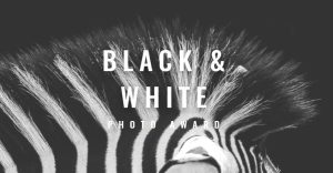 Black y White Photo Awards 2022