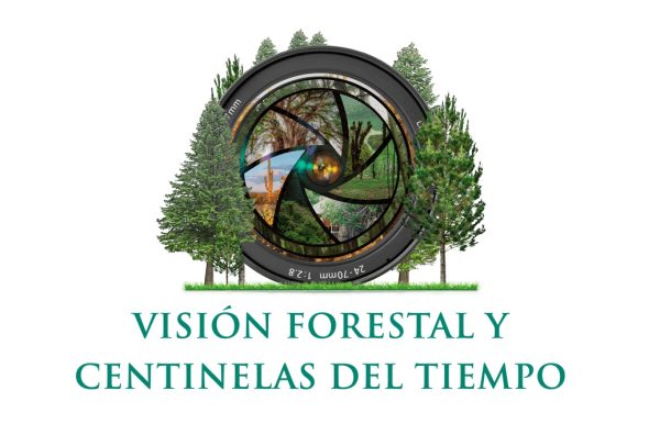 Concurso de Fotografía 2022 Visión Forestal y Centinelas del Tiempo
