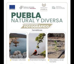 Concurso Fotográfico Puebla Natural