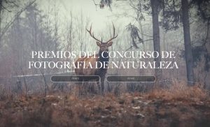 The Nature Photography Contest 2023