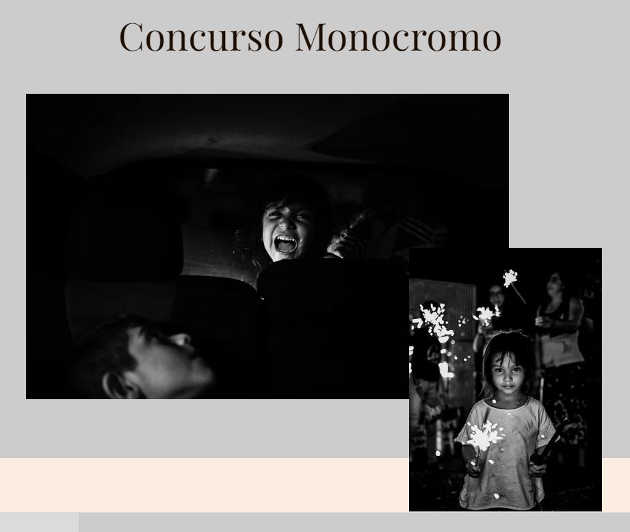 Concurso de Fotografía Monocromática - Mundo Chromático