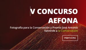 V Concurso AEFONA FOTOGRAFÍA para la CONSERVACIÓN (2024)