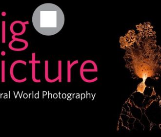BigPicture Natural World Photography Competition 2025